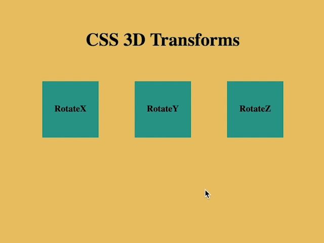 CSS 3D Transforms